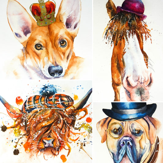 Hamish the highland cow and friends