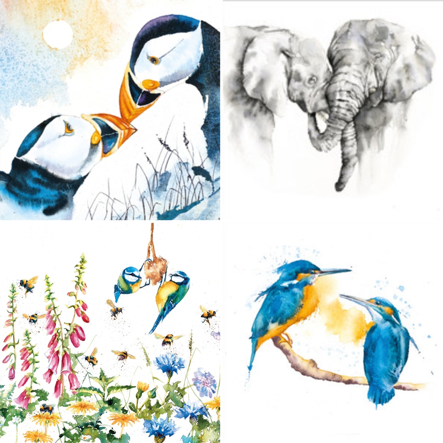 Perfect pairs, cards with pairs on each card, elephants, kingfishers blue tits and puffins