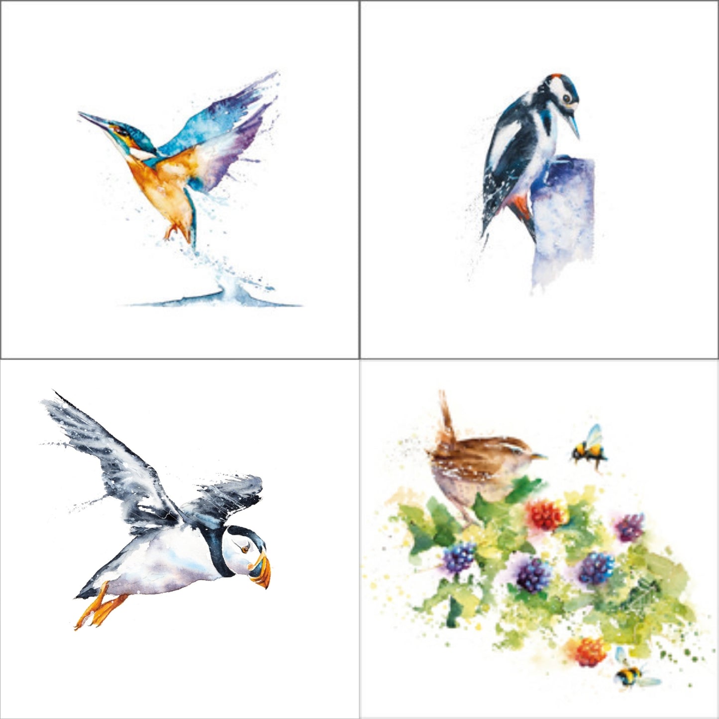 British Birds