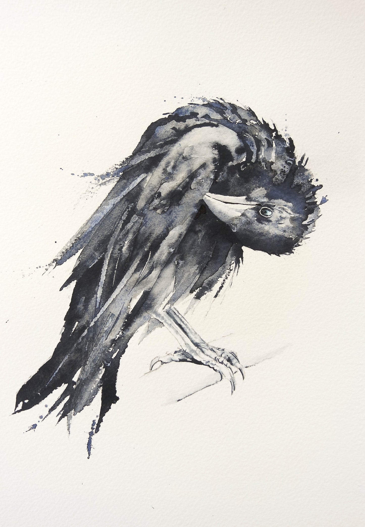 Crow On a bare branch ( Print )