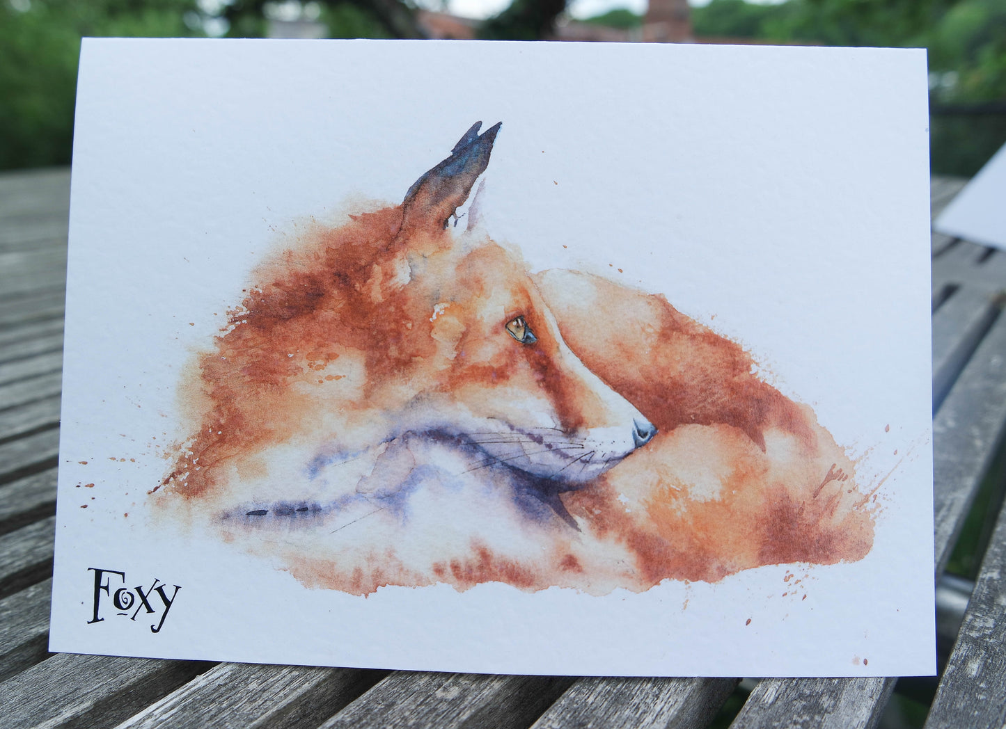 Wild 'n' witty ( 4 cards)