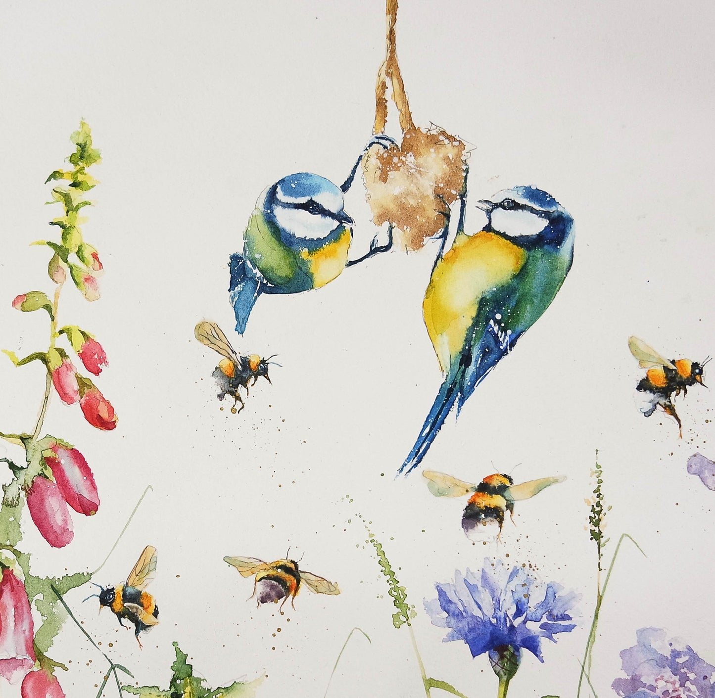 Garden Birds ( 5 cards)