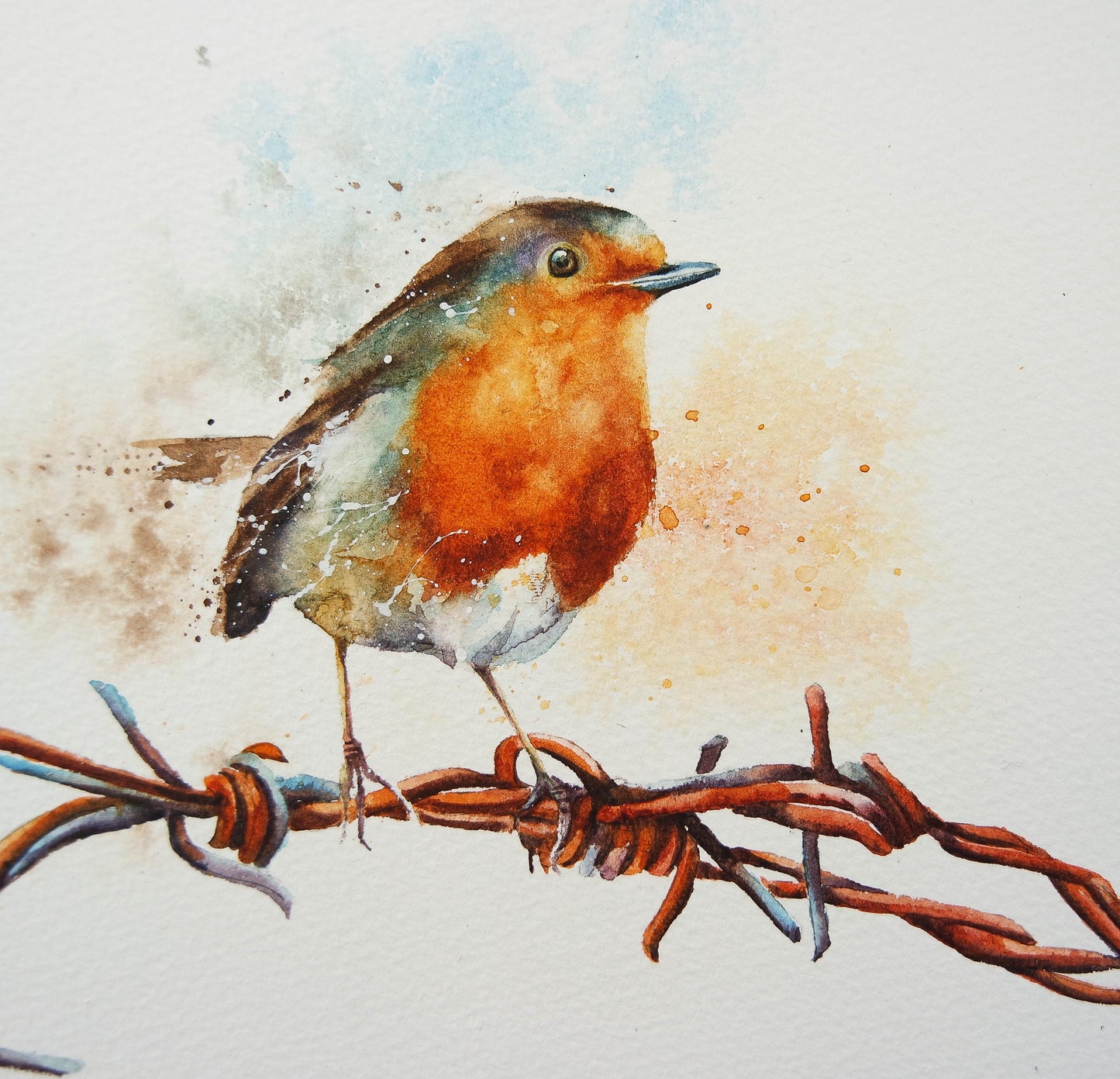 Garden Birds ( 5 cards)