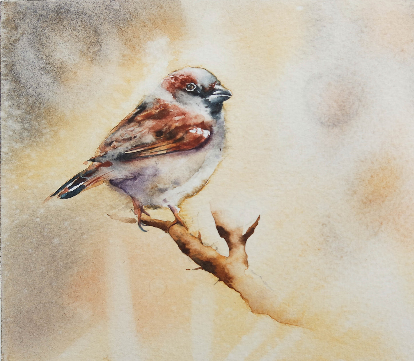 Garden Birds ( 5 cards)