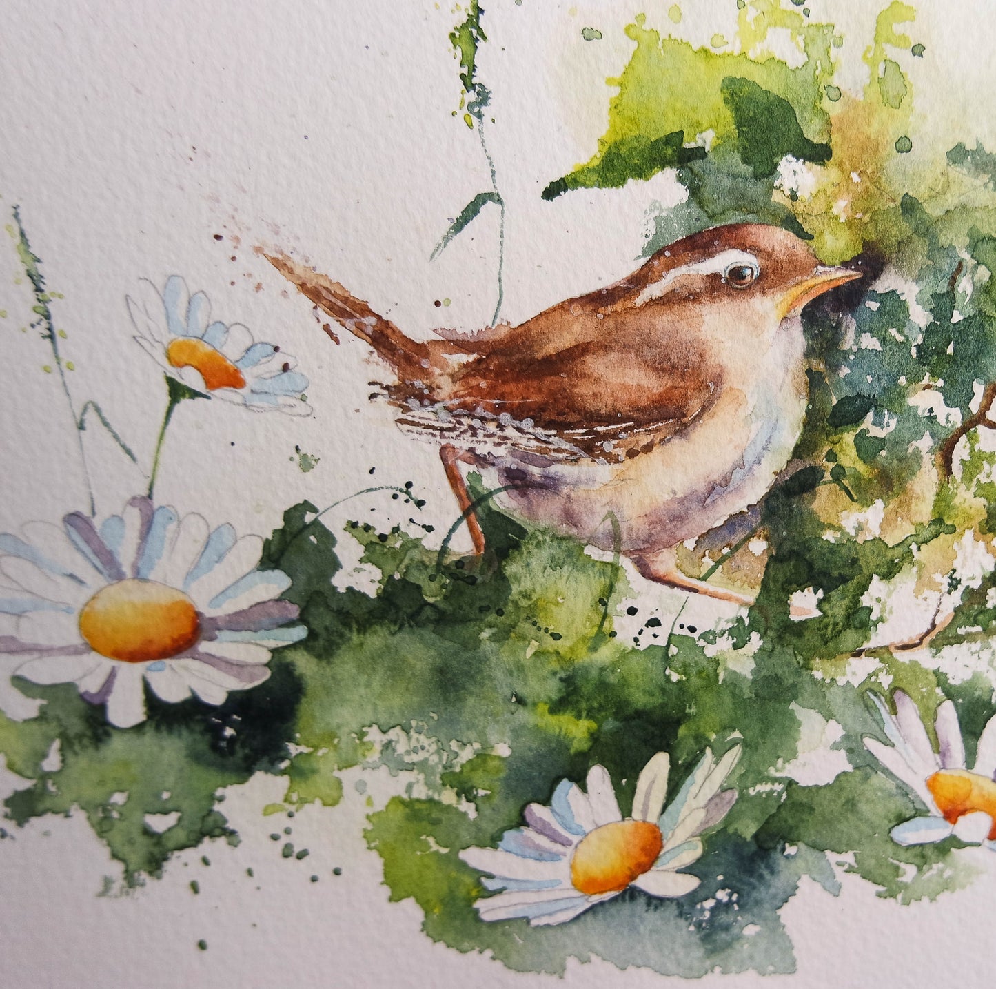 Garden Birds ( 5 cards)