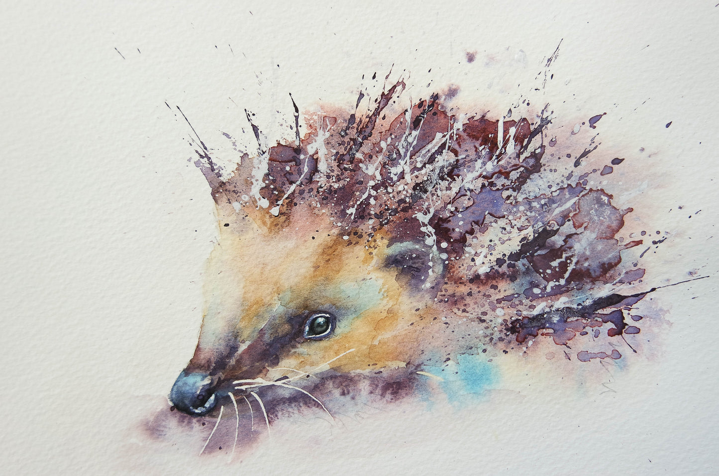 Watercolour British Wildlife ( 4 cards)