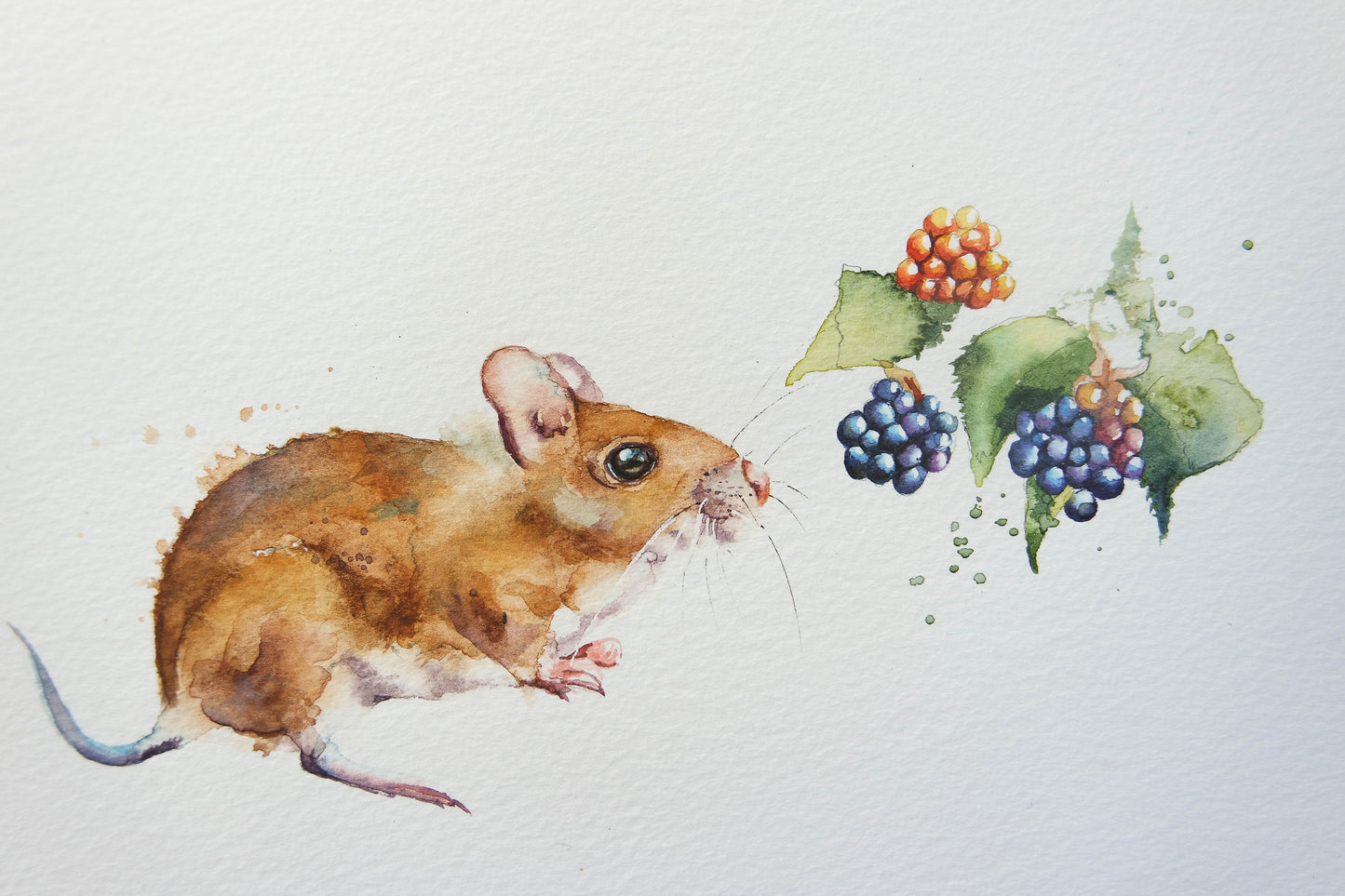 Watercolour British Wildlife ( 4 cards)