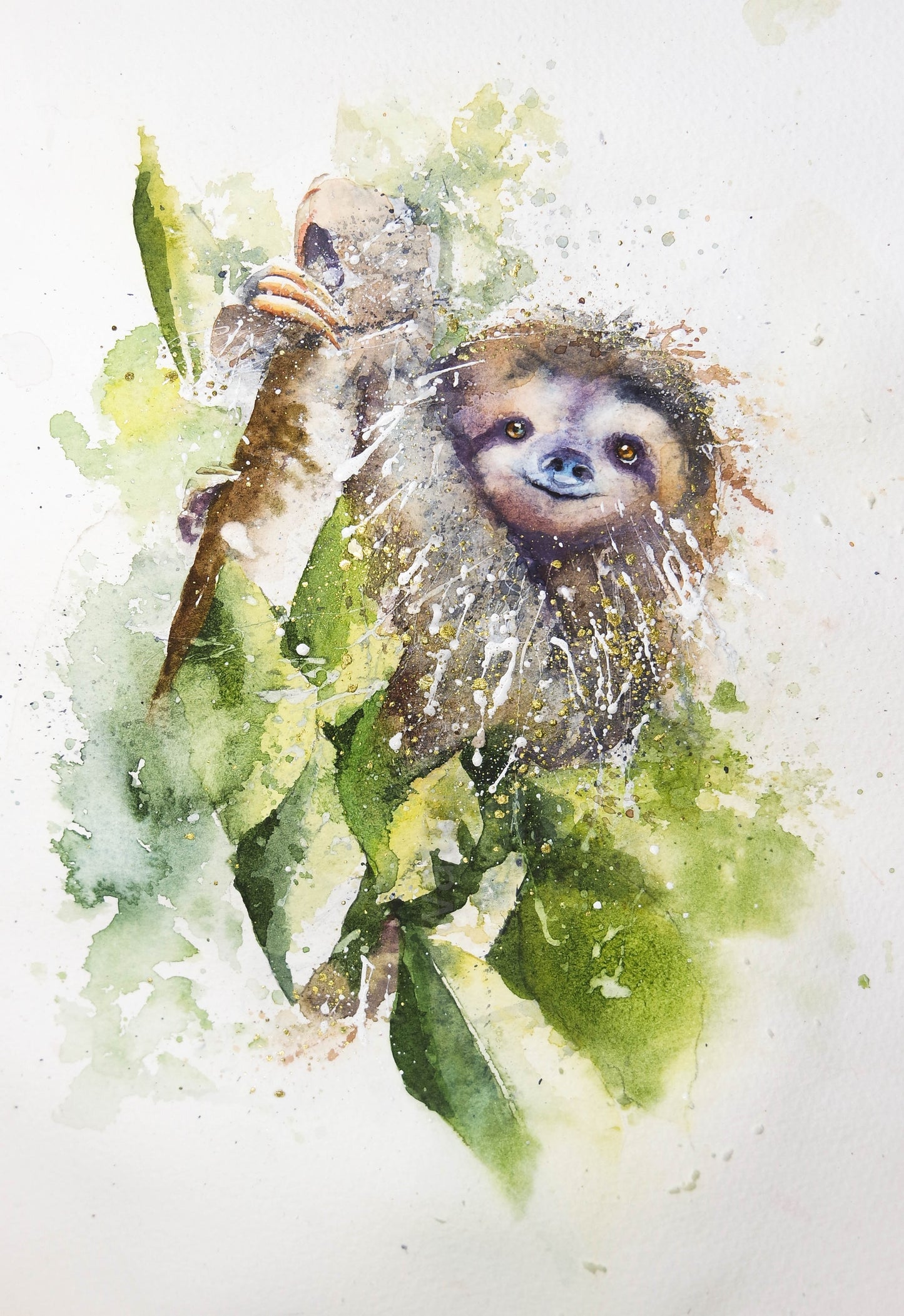 Sloth.. just hanging !