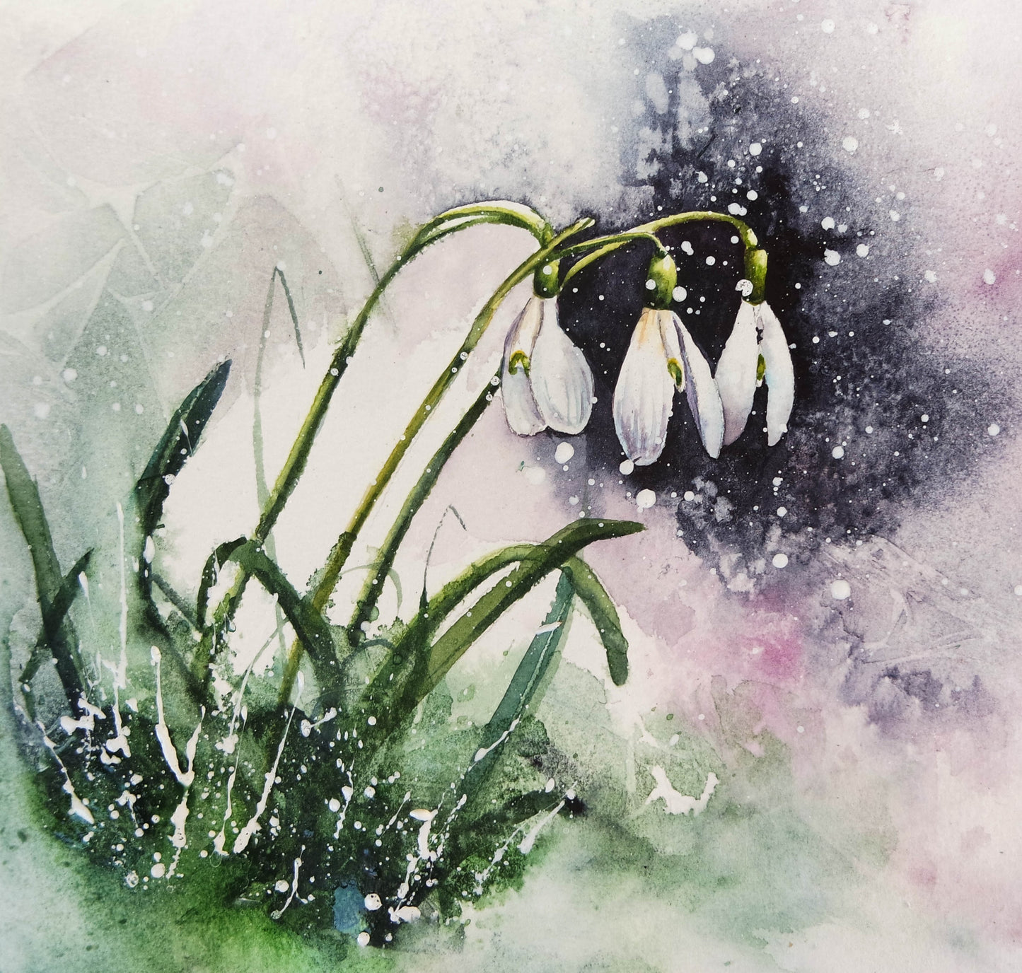 ***NEW*** Flowers of snow