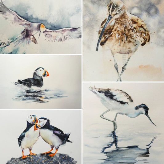 Sea Birds ( 5 cards)