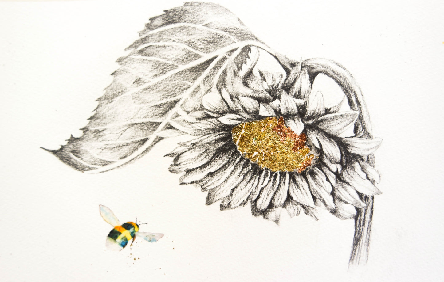 Bees, ladybirds and sketches