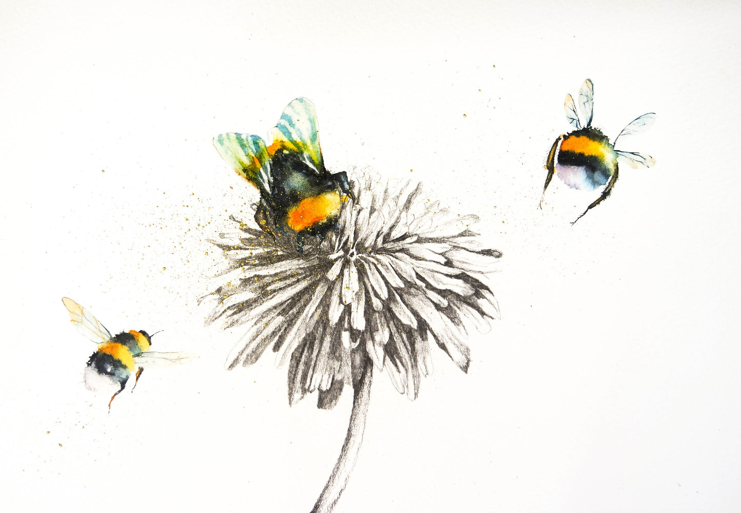 Bees, ladybirds and sketches