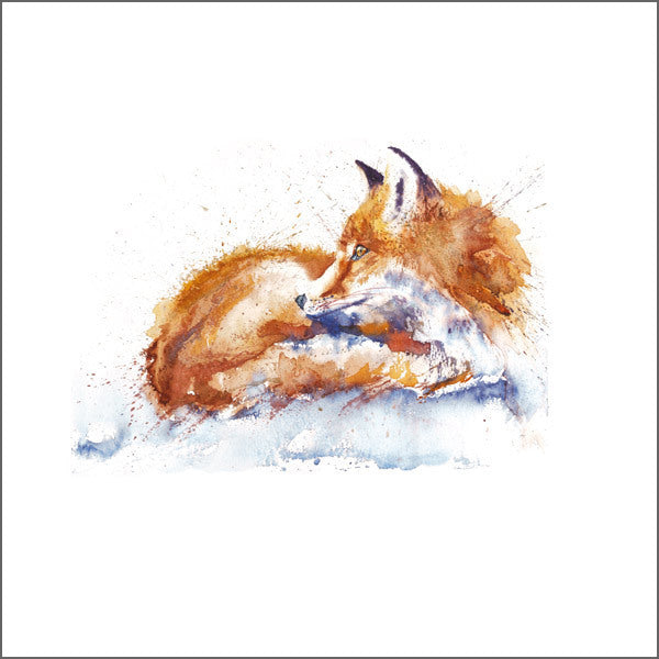 Favourite British Wildlife