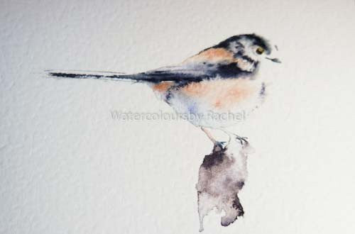 long tailed tit