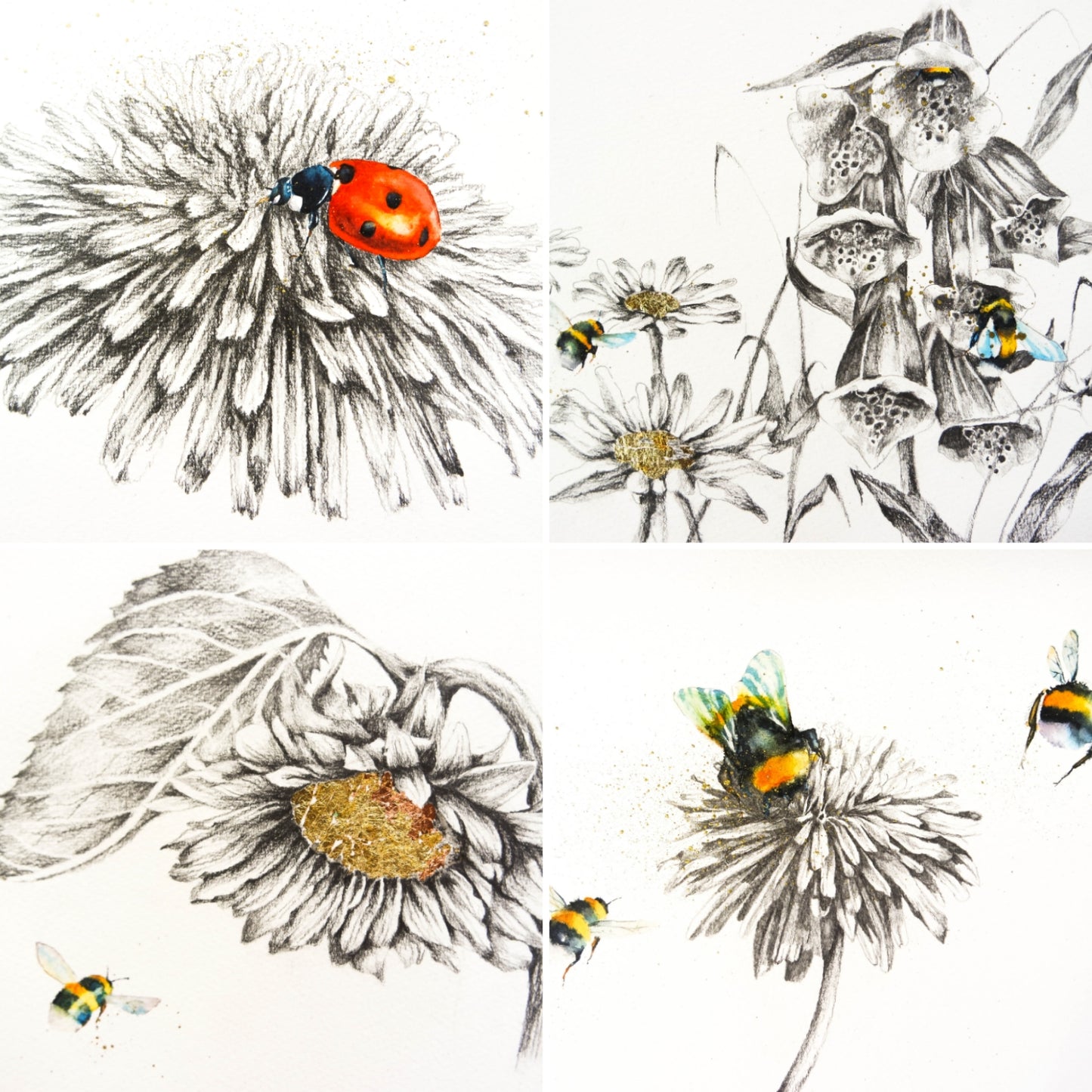 Bees, ladybirds and sketches