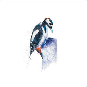 British Birds