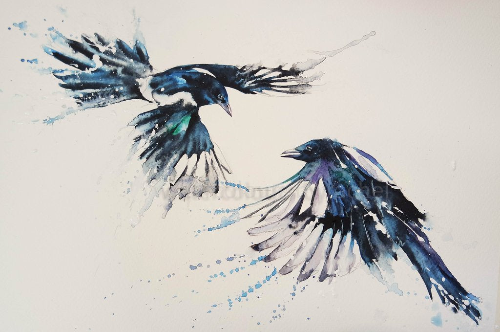 Magpie In Flight Design Magpies in flight – watercolours by rachel