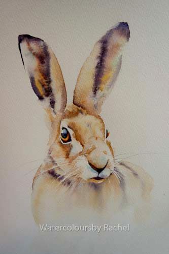 We all need good hare days.....a post Easter challenge !