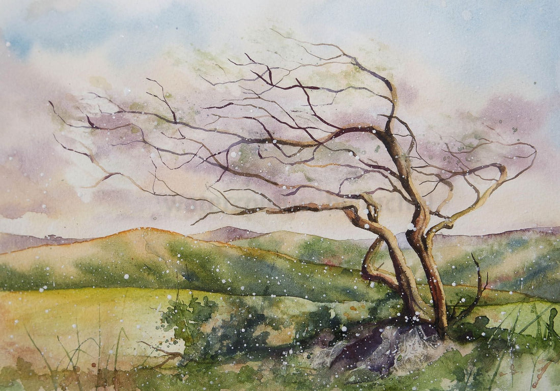 A winter landscape