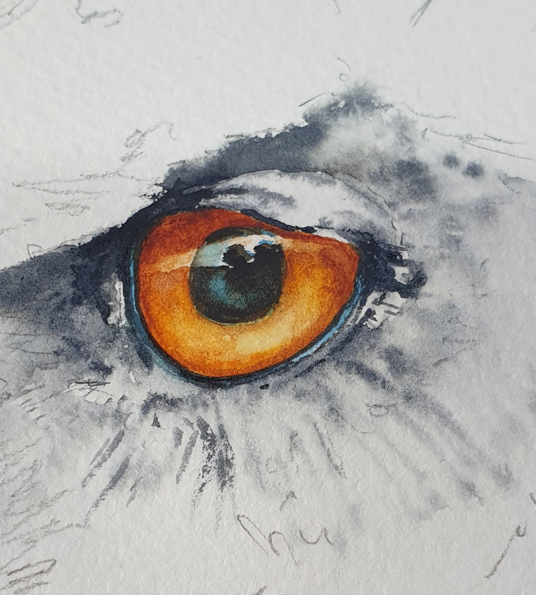 Owl eye (the devil is in the detail)
