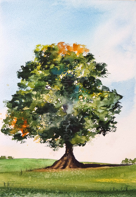Trees
