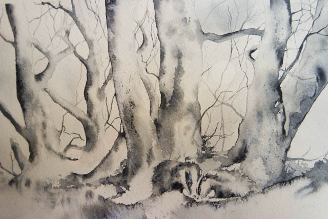The Badgers....