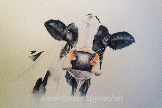 The trials and tribulations of my painting life....or a fun look at being a watercolour painter