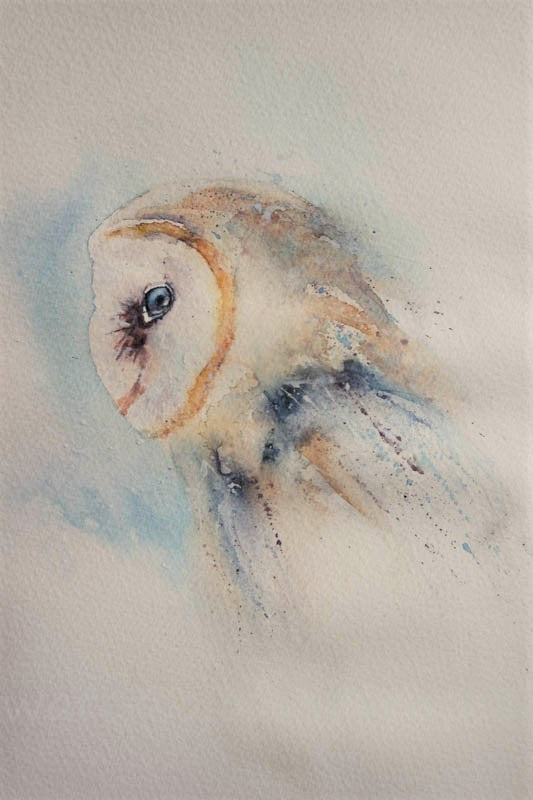 Searching for subtlety