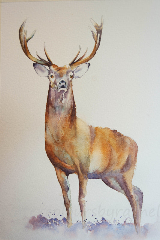 How to paint a stag in 5 easy steps.....