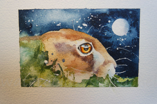 It's all about the eyes...