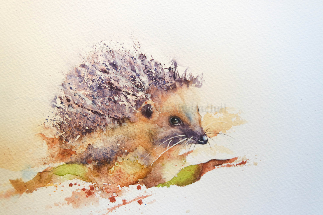 Seven steps to painting a hedgehog