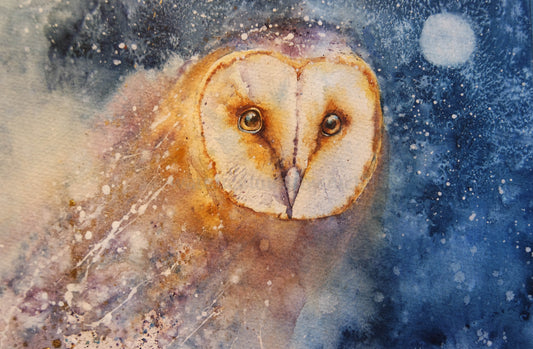 Barn Owl in 5 easy steps