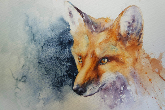 Coming back for more