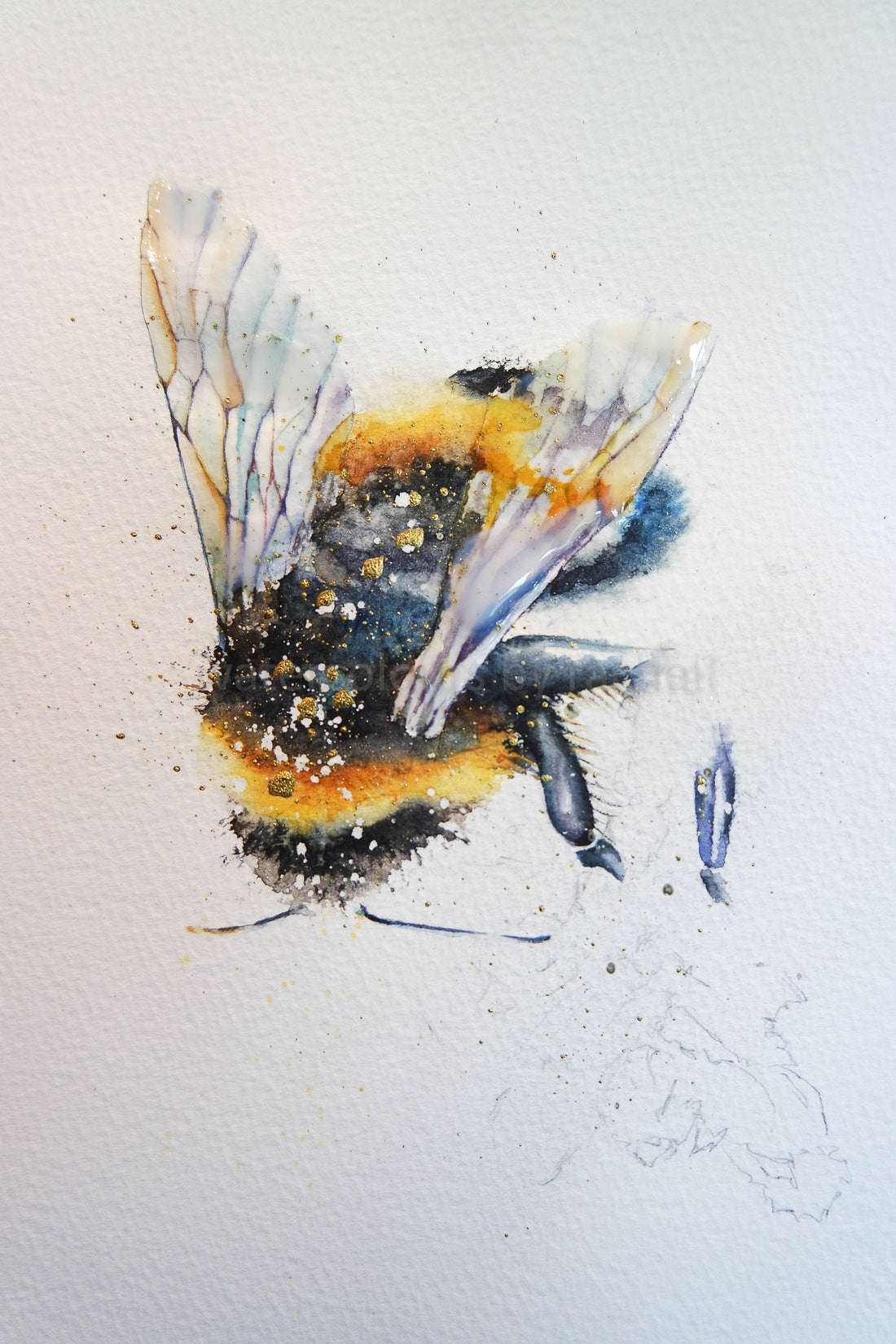 The Bees Knees !