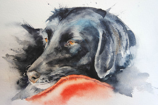 When black isn't black...