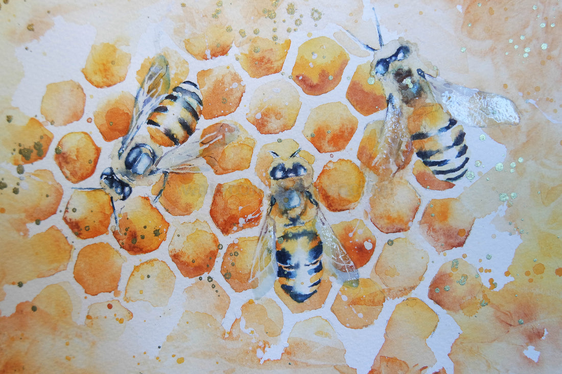 Waggle Dance
