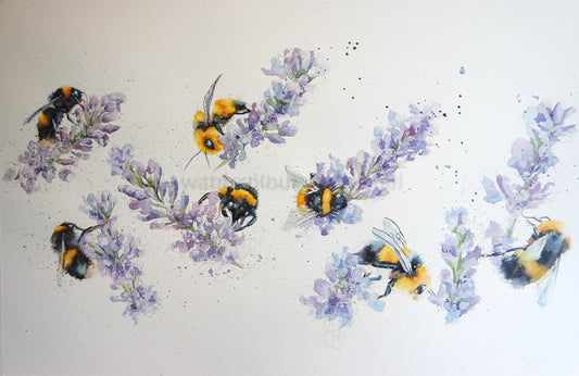 From photos...... to an idea...... to finished a painting....