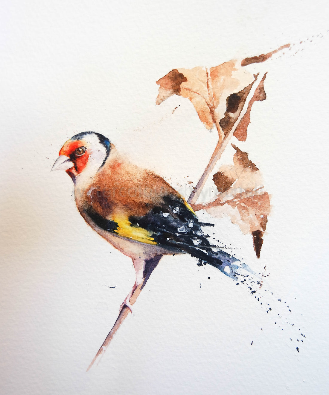 A Goldfinch painting in stages