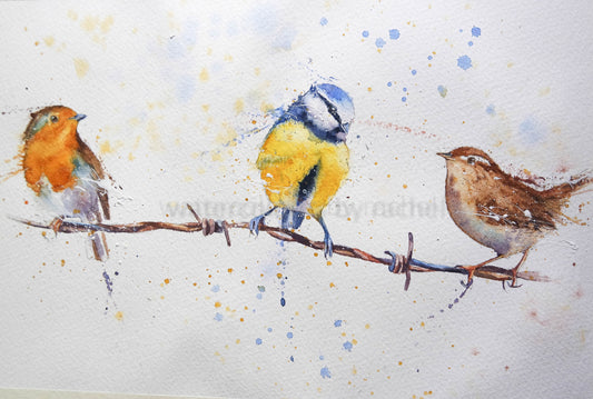 Three little birds....'Ronald', 'Brian' and 'Walter'