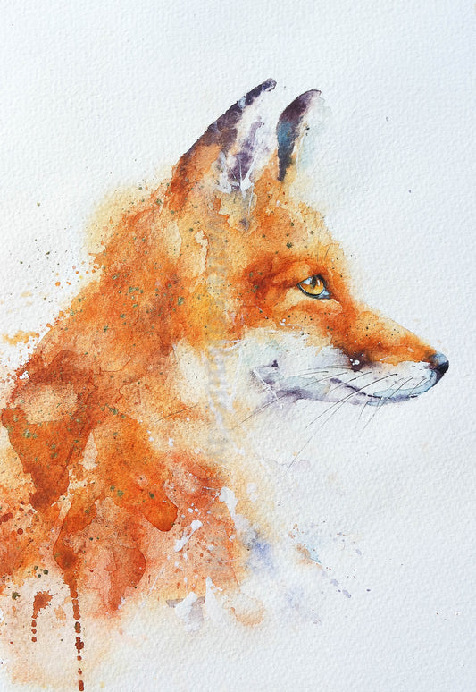 It's worth taking another look