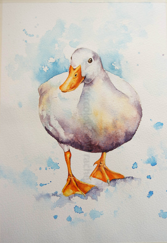 Lovely Weather ...for Ducks!