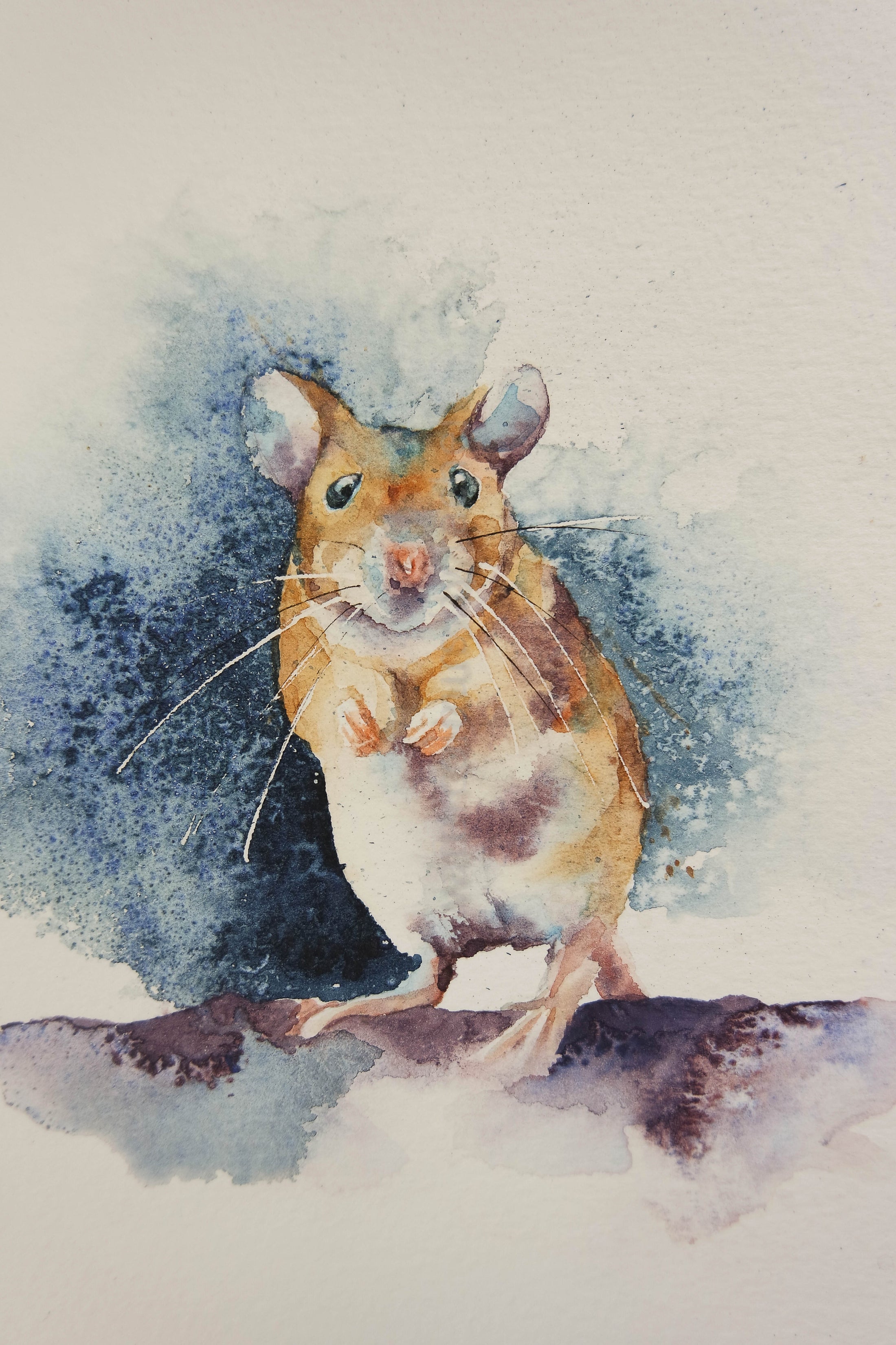 Painting a mouse – watercolours by rachel