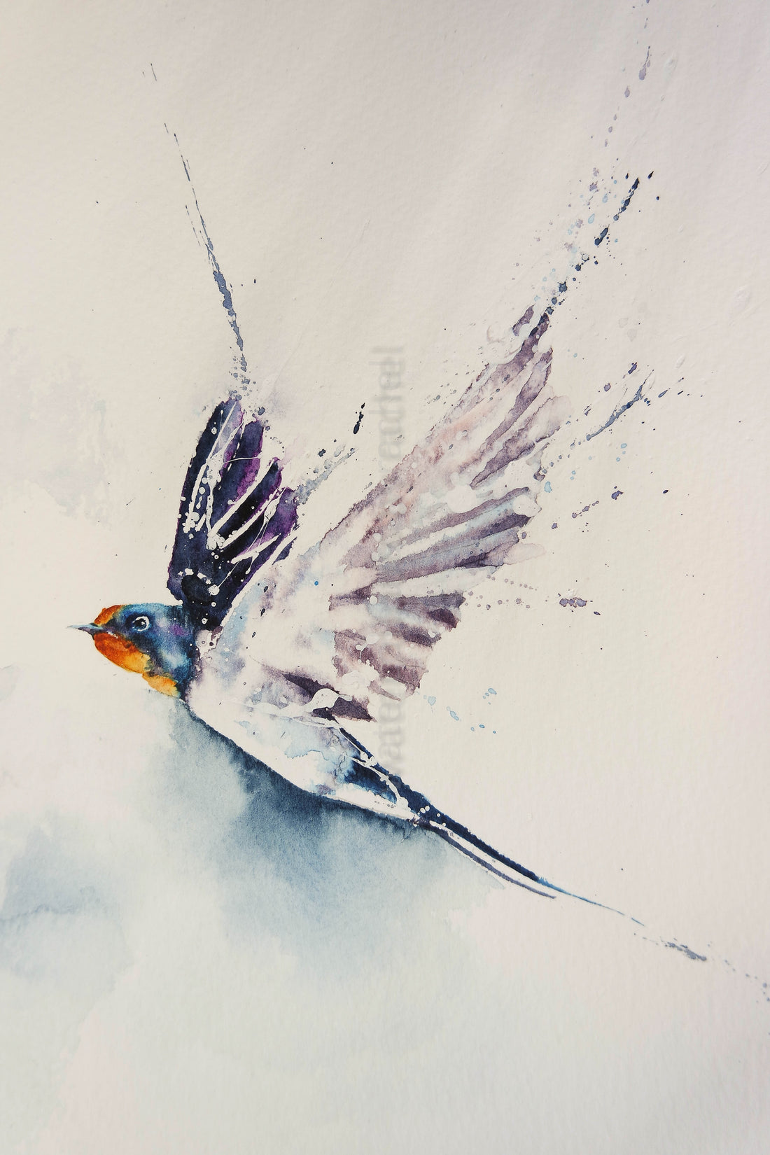 Painting a swallow