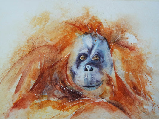 Tackling something new !