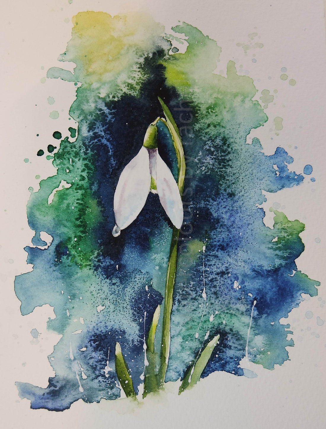 Spring is in the air