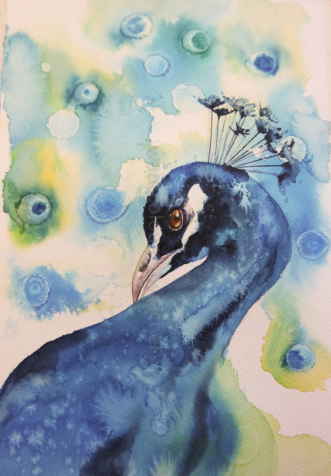 Painting a peacock ( or just some of the reasons I love watercolour!)