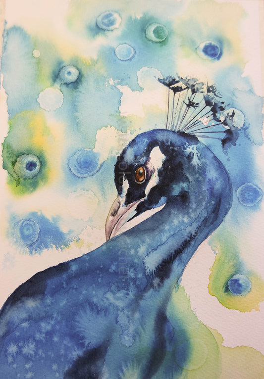 Painting a peacock ( or just some of the reasons I love watercolour!)