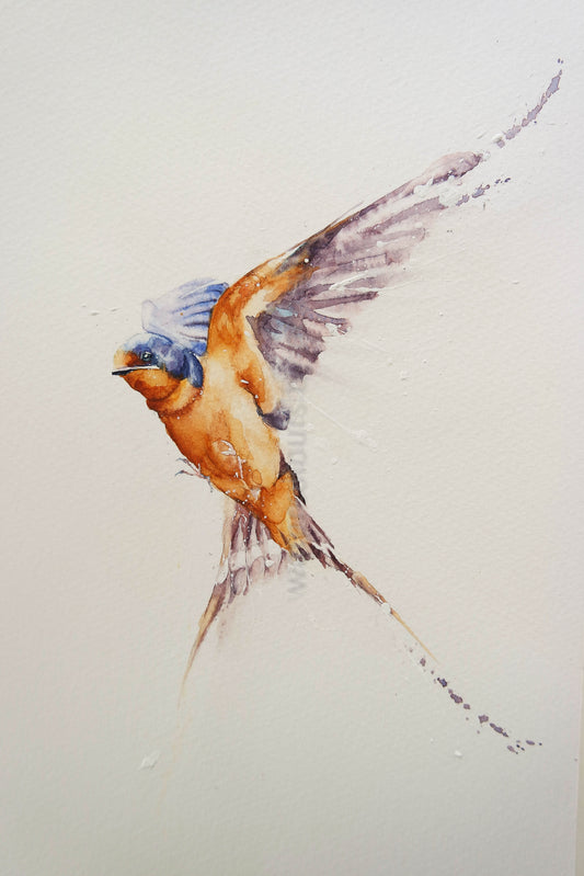 Painting a swallow in flight