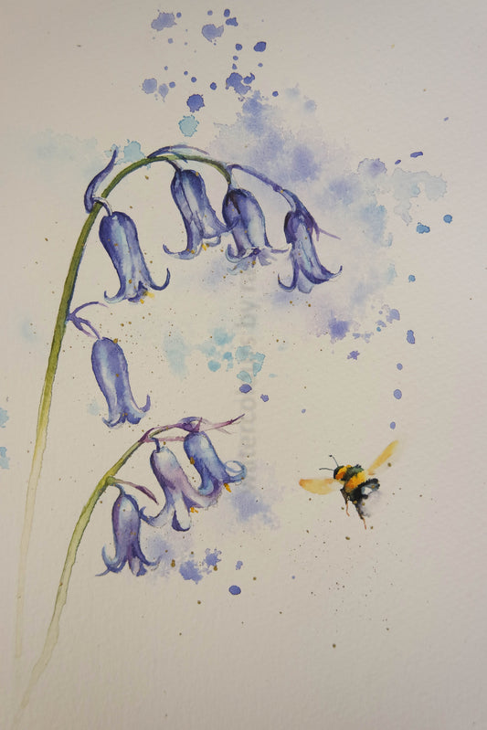 British  Bluebells
