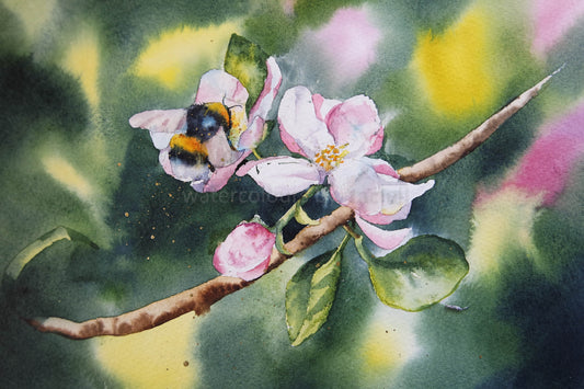 Background ....Apple Blossom